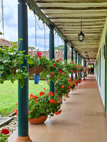 Medellín