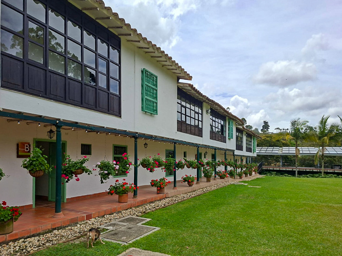 Medellín
